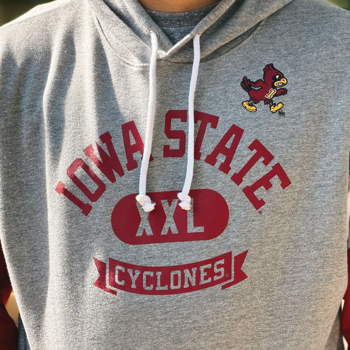 Champion® Iowa State Walking Cy Gray Colorblock Hoodie
